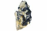 Dark Blue Fluorite on Quartz - China #131431-3